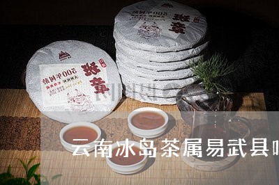 云南冰岛茶属易武县吗/2023092382625