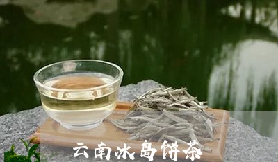 云南冰岛饼茶/2023090742594