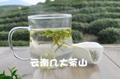 云南几大茶山/2023042979913