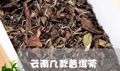 云南几款普洱茶/2023112693940