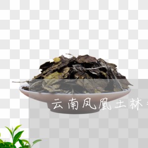 云南凤凰土林普洱茶什么价/2023081594049