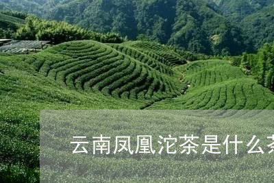 云南凤凰沱茶是什么茶/2023071617191