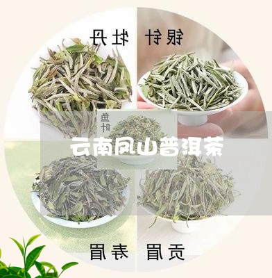 云南凤山普洱茶/2023082849602