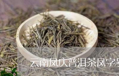 云南凤庆普洱茶凤字号/2023100825159