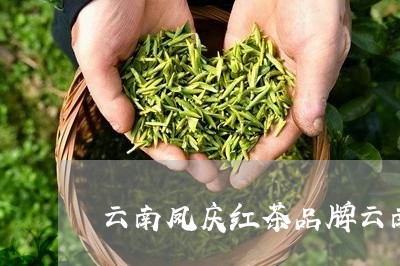 云南凤庆红茶品牌云南凤庆茶叶/2023053138483