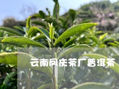 云南凤庆茶厂普洱茶/2023071150694