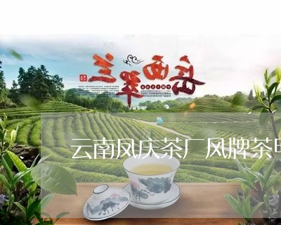 云南凤庆茶厂风牌茶甲级沱茶/2023052646369