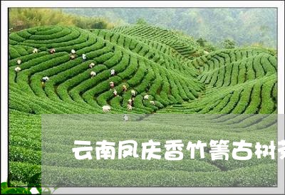 云南凤庆香竹箐古树茶/2023061089403