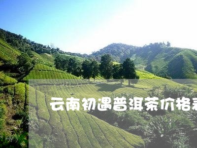 云南初遇普洱茶价格表/2023093028513