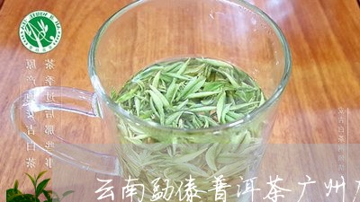 云南勐傣普洱茶广州店/2023062168260