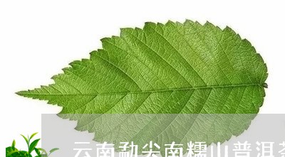 云南勐尖南糯山普洱茶/2023063023926