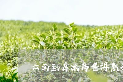 云南勐库冰岛普洱熟茶/2023092522615