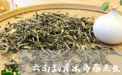 云南勐库冰岛茶王生茶/2023061284051