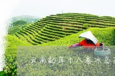 云南勐库十八寨冰岛茶/2023061137274