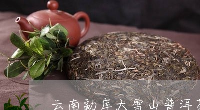 云南勐库大雪山普洱茶怎么样/2023052765059