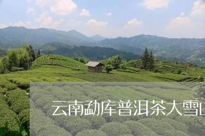 云南勐库普洱茶大雪山早春饼/2023052768594