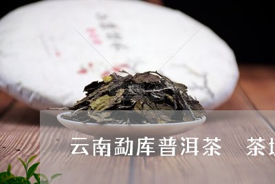 云南勐库普洱茶籣茶坊/2023062448504