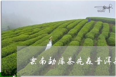 云南勐库茶先森普洱茶/2023062317382