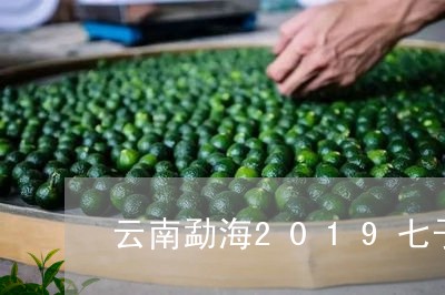 云南勐海2019七子饼茶价格/2023053111608