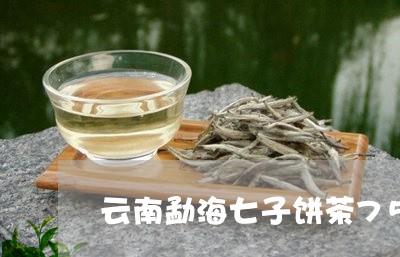 云南勐海七子饼茶7590价格/2023053172605