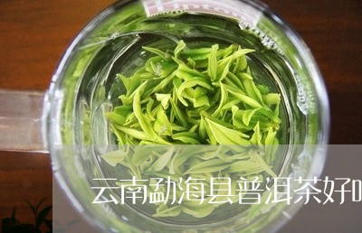 云南勐海县普洱茶好吗/2023062189392