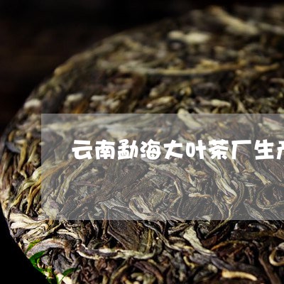 云南勐海大叶茶厂生产的山林溪/2023053139512