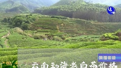 云南勐海老白茶价格/2023121795936