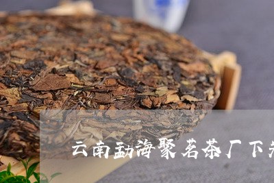 云南勐海聚茗茶厂下关/2023061047303