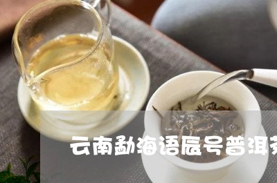 云南勐海语辰号普洱茶/2023101748282