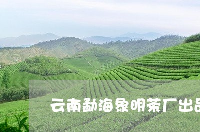 云南勐海象明茶厂出品/2023092160614