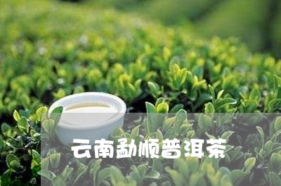 云南勐顺普洱茶/2023120397505