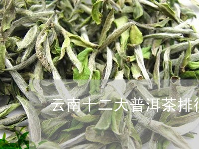 云南十二大普洱茶排行/2023092945268