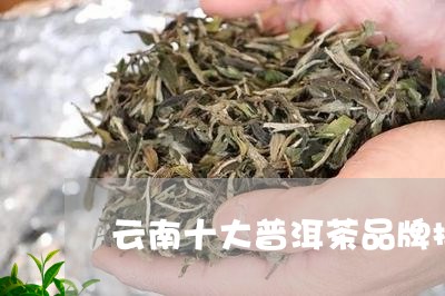 云南十大普洱茶品牌排行榜及价格/2023060285159