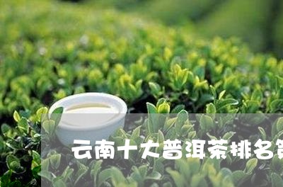 云南十大普洱茶排名第一/2023050660404