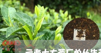 云南十大茶厂单丛生茶和熟茶的区别/2023060431706