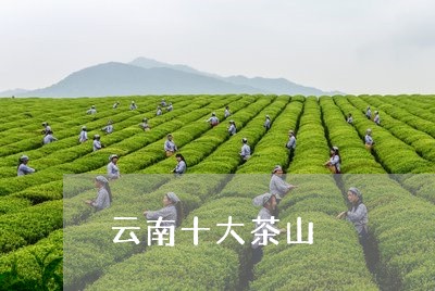 云南十大茶山/2023042903829