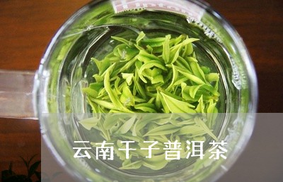 云南千子普洱茶/2023102634925