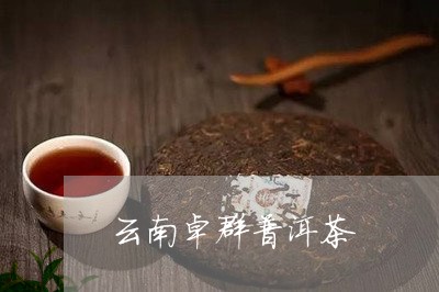 云南卓群普洱茶/2023102646938