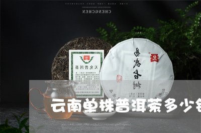 云南单株普洱茶多少钱/2023062886637