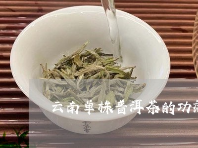 云南单株普洱茶的功效/2023080268150