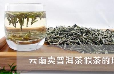 云南卖普洱茶假茶的地方/2023102516158