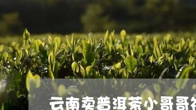 云南卖普洱茶小哥哥视频/2023120743848