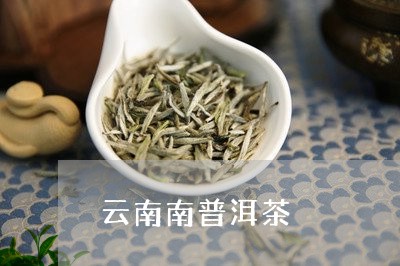 云南南普洱茶/2023042814811