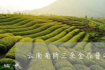 云南南桥三朵金花普洱茶/2023110355270