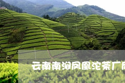 云南南涧凤凰沱茶厂凤凰珍品/2023052684059