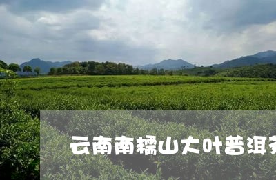 云南南糯山大叶普洱茶/2023120681814