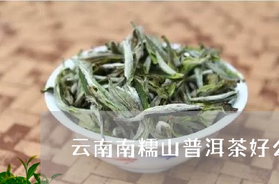 云南南糯山普洱茶好么/2023061964057