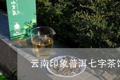 云南印象普洱七字茶饼/2023092522846