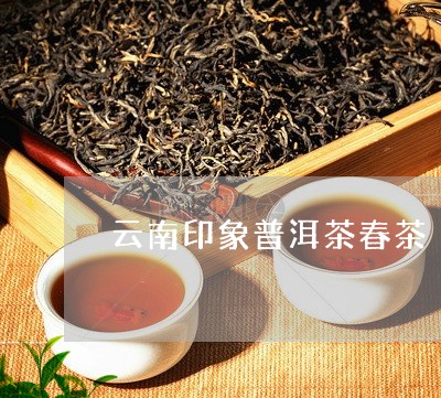 云南印象普洱茶春茶/2023120488069