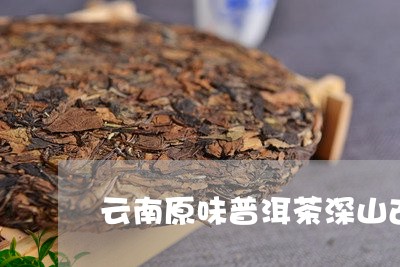 云南原味普洱茶深山古树生茶/2023110267493